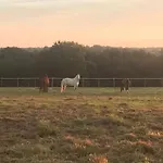 Ferme Equestre Avec Piscine