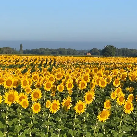 Ferme équestre Avec Piscine *