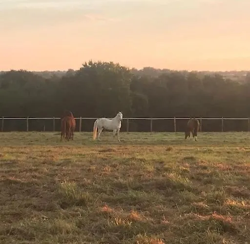Ferme Equestre Avec Piscine