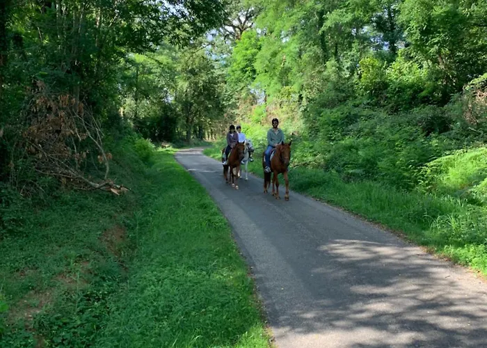 Ferme Equestre Avec Piscine * Castex (Gers)