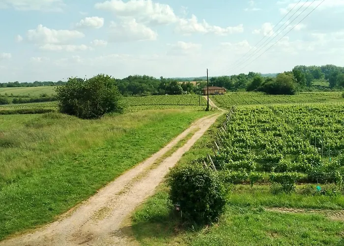 Ferme Equestre Avec Piscine Vakantiehuis Castex (Gers)