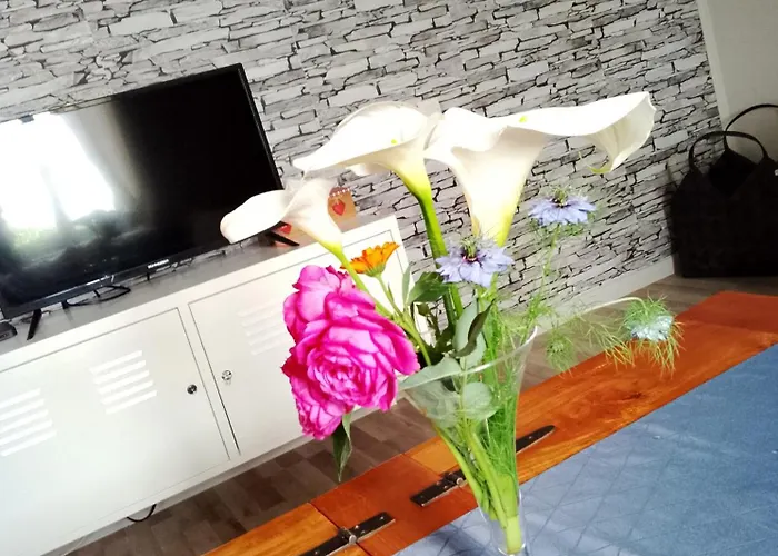 Ferme Equestre Avec Piscine