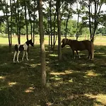 Ferme Equestre Avec Piscine
