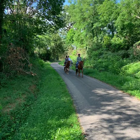 Ferme Equestre Avec Piscine * Castex (Gers)