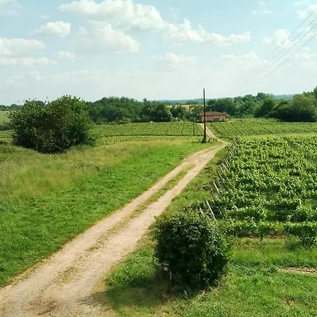 Ferme Equestre Avec Piscine Semesterbostad Castex (Gers)