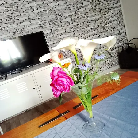 Ferme Equestre Avec Piscine